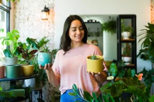 To παχύφυτο που φέρνει τύχη, αφθονία και θετική ενέργεια, σύμφωνα με το Φενγκ Σούι