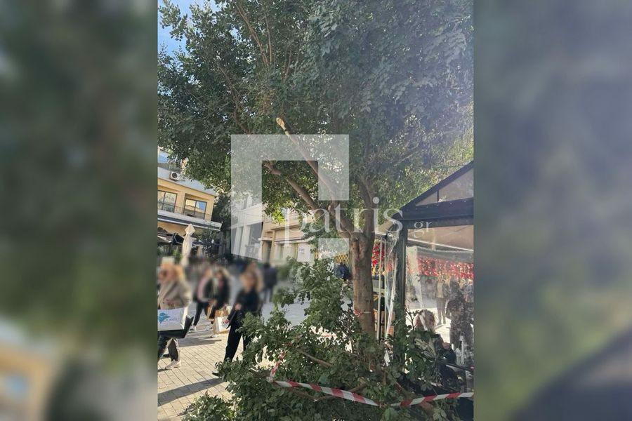 (ΦΩΤΟ): Έπεσαν κλαδιά από δέντρα απέναντι από τη Λότζια