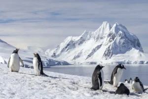 Xάρτης αποκαλύπτει τι πραγματικά κρύβεται κάτω από το τεράστιο στρώμα πάγου της Ανταρκτικής