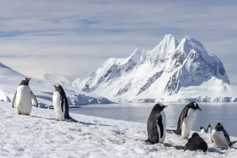 Xάρτης αποκαλύπτει τι πραγματικά κρύβεται κάτω από το τεράστιο στρώμα πάγου της Ανταρκτικής