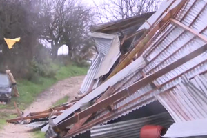 Ανεμοστρόβιλος σάρωσε την Ηλεία: Κατέρρευσε στάβλος στην Πηνεία, χάθηκαν δεκάδες ζώα