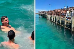 Πλήθος ομογενών στη Μελβούρνη γιόρτασε τα Θεοφάνια: 18χρονος από τη Ρόδο έπιασε τον Σταυρό, δείτε βίντεο