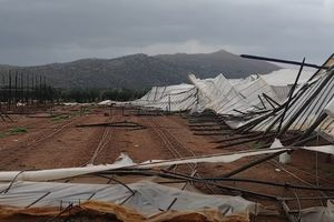 Στο έλεος των ανέμων η Κρήτη – Μεγάλες καταστροφές σε αγροτικές καλλιέργειες και θερμοκήπια