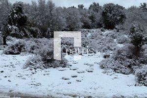 (ΦΩΤΟ) Εικόνες… σαν καρτ ποστάλ από τα χιονισμένα βουνά σε όλη τη χώρα