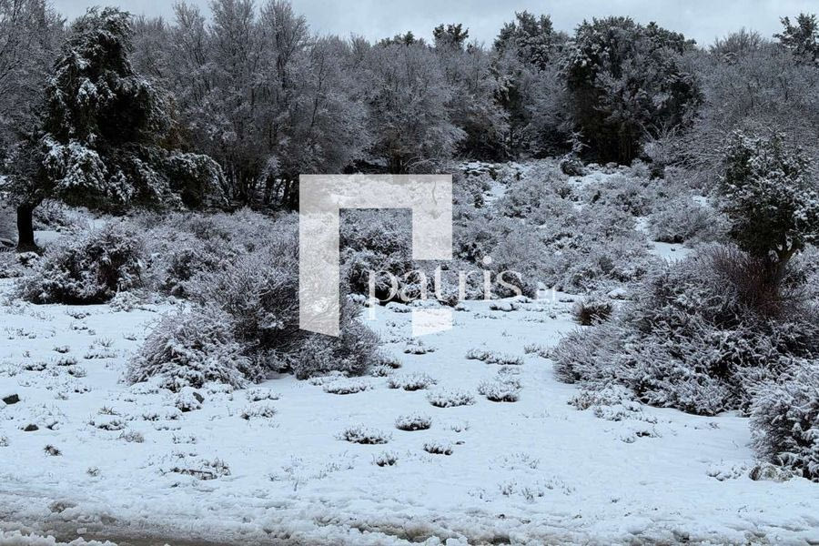 (ΦΩΤΟ) Εικόνες… σαν καρτ ποστάλ από τα χιονισμένα βουνά σε όλη τη χώρα