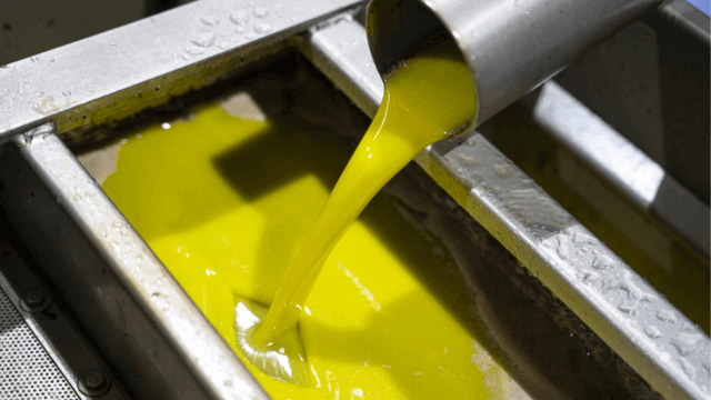 Ξεκίνησε και λήγει δραματικά η χρονιά για το λάδι