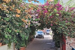 «Αλλαγή φρουράς» στον Περιβαλλοντικό Σύλλογο Αγίας Τριάδας- Νέος πρόεδρος ο αρχιτέκτονας Βαγγέλης Γρηγοράκης