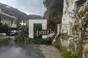 Θυελλώδεις άνεμοι: Έπεσαν δέντρα στην Κρήτη – Τζαμαρία έγινε θρύψαλα στα Χανιά