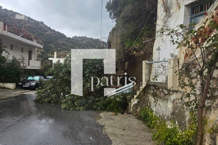 Θυελλώδεις άνεμοι: Έπεσαν δέντρα στην Κρήτη – Δεμένα τα πλοία στα λιμάνια
