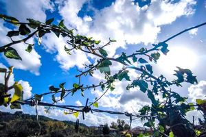Συννεφιασμένος ο ουρανός στην Κρήτη