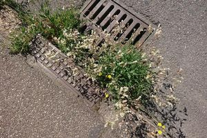 Πρόγραμμα καθαρισμού δημοτικών και αγροτικών δρόμων από άγρια βλάστηση από το Δήμο Ρεθύμνου