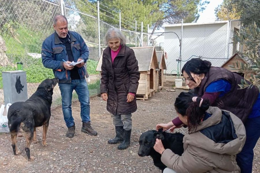 Δράση ιατρικής φροντίδας για τα αδέσποτα σκυλιά στο ΕΛΜΕΠΑ από το Κυνοκομείο του Δήμου Ηρακλείου