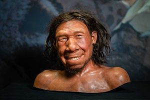 Μελέτη ασχολήθηκε με τη σεξουαλική ζωή των ανθρώπων του Νεάντερταλ και των Homo Sapiens