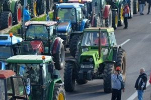 ΕΛΓΑ: Καταβολή 18,7 εκατ. ευρώ από τον οργανισμό σε 8.648 παραγωγούς για ζημιές του 2025