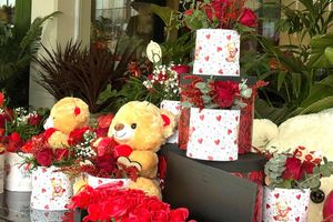 (ΦΩΤΟ) Άγιος Βαλεντίνος: Τα κόκκινα τριαντάφυλλα “κλέβουν” τις καρδιές των ερωτευμένων