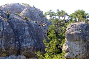 Στην Καλαμαύκα – Τίμιος Σταυρός ο Ορειβατικός Σύλλογος Αγίου Νικολάου