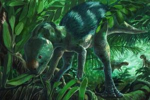 Ανακαλύφθηκε άγνωστο είδος δεινοσαύρου… χόμπιτ