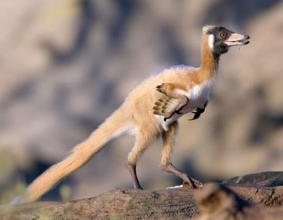 Μίνι δεινόσαυρος ζούσε στην πιο «πολυπολιτισμική» γειτονιά δεινοσαύρων στον κόσμο