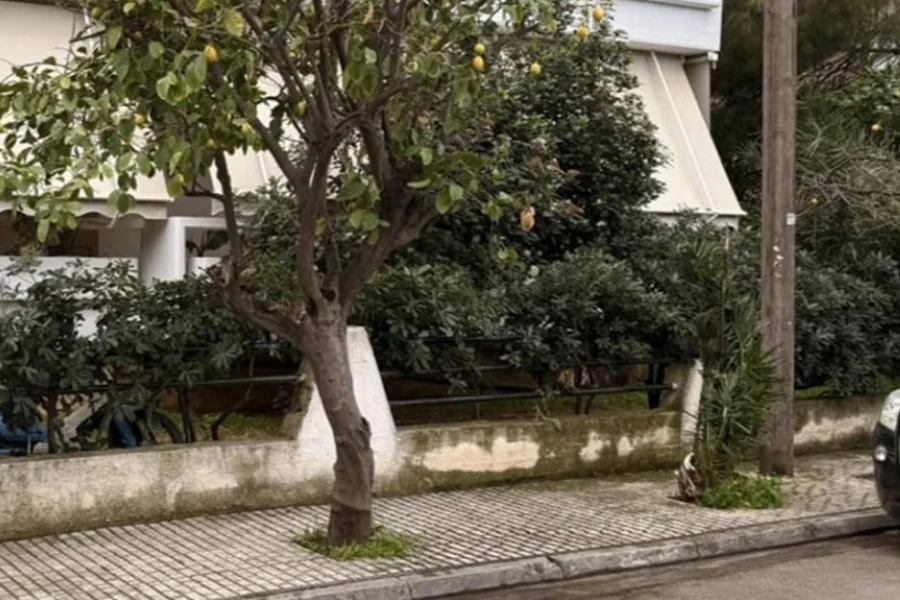 «Μαμά μου άνοιξε τα μάτια σου» φώναζε η 44χρονη: Συγκλονίζουν οι μαρτυρίες για την τραγωδία στην Ελευσίνα