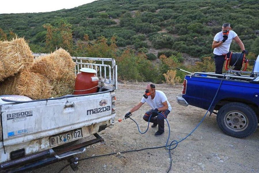 Ακριβά θα πληρώσουμε το αρνί – Πορεία για το Πάσχα με μέτρα ασφαλείας