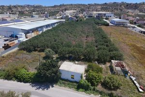 Ισχυρές πιέσεις για την επέκταση του Βιομηχανικού Πάρκου – Έντονο επενδυτικό ενδιαφέρον στη Φοινικιά