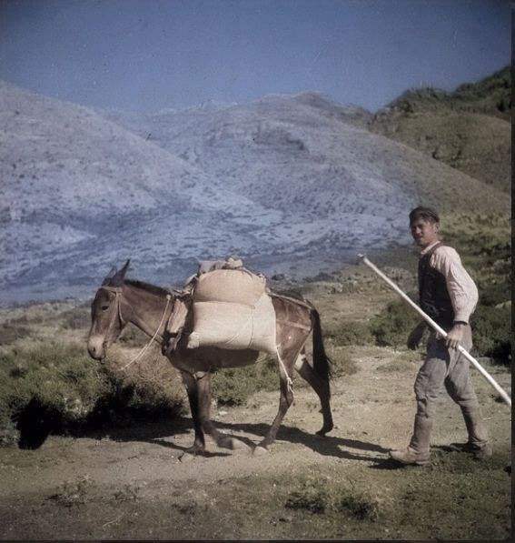 Σκηνή από την αγροτική ζωή της Κρήτης