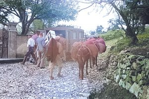 Άφιξη ασθενούς με ασθενοφόρο