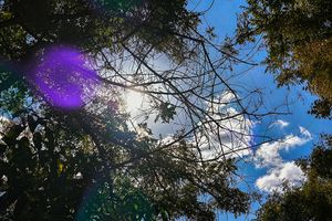 Ο καιρός στην Κρήτη: Αίθριος με τοπικές νεφώσεις και βοριάδες έως 7 μποφόρ