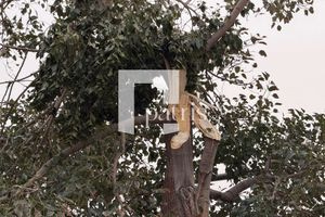 Θυελλώδεις άνεμοι στην Κρήτη: Μικροπροβλήματα στο Ηράκλειο – Καθυστερήσεις πτήσεων στο αεροδρόμιο