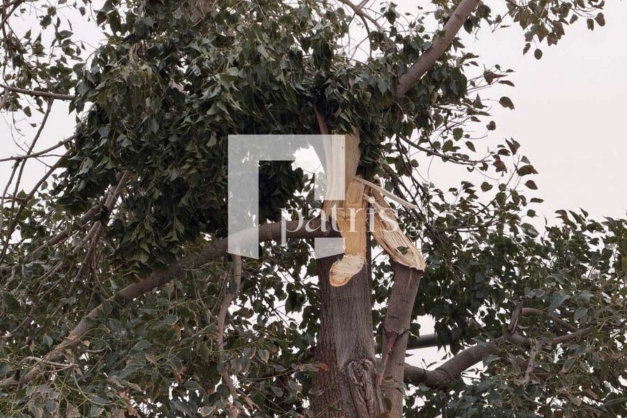 Θυελλώδεις άνεμοι στην Κρήτη: Μικροπροβλήματα στο Ηράκλειο – Καθυστερήσεις πτήσεων στο αεροδρόμιο