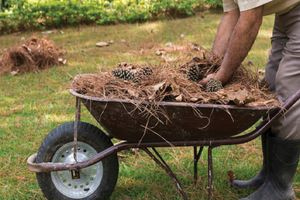 Καθαρισμός οικοπέδων: Τι αλλάζει το νομοσχέδιο «Ενεργή Μάχη»