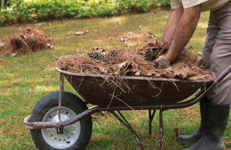 Καθαρισμός οικοπέδων: Τι αλλάζει το νομοσχέδιο «Ενεργή Μάχη»