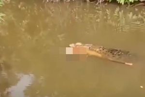 Φρικτός θάνατος στην Ινδονησία – Κροκόδειλος κατασπάραξε γυναίκα ενώ έψαχνε για μύδια