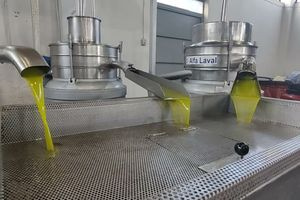 Μόλις 4,30€ για ΠΟΠ ελαιόλαδο