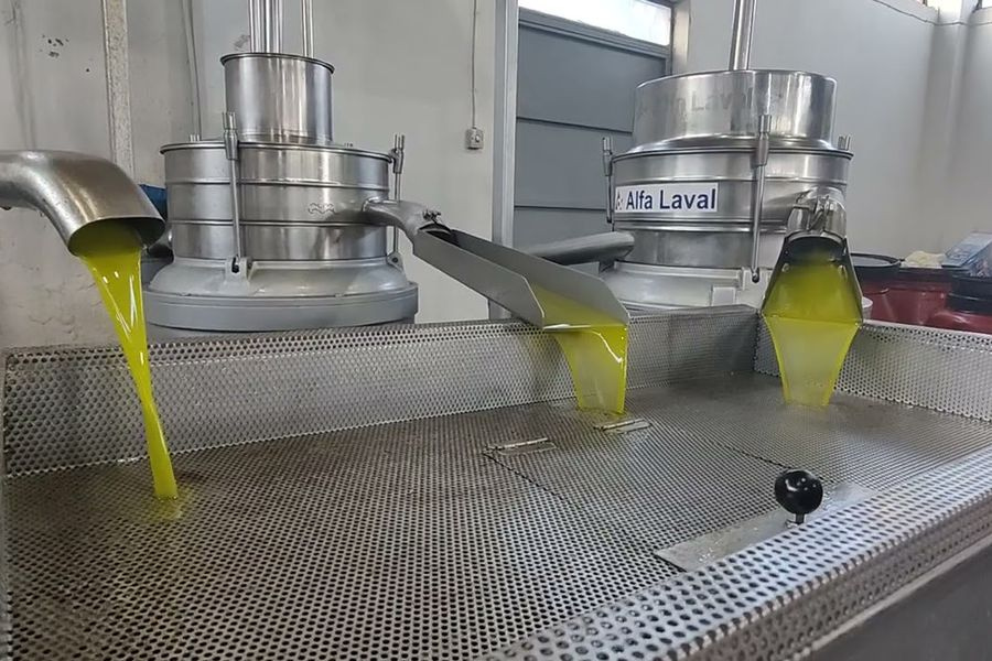 Μόλις 4,30€ για ΠΟΠ ελαιόλαδο