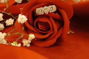 Ora by D&M: Τα κοσμήματα που θα κάνουν την ημέρα του Αγίου Βαλεντίνου ξεχωριστή!