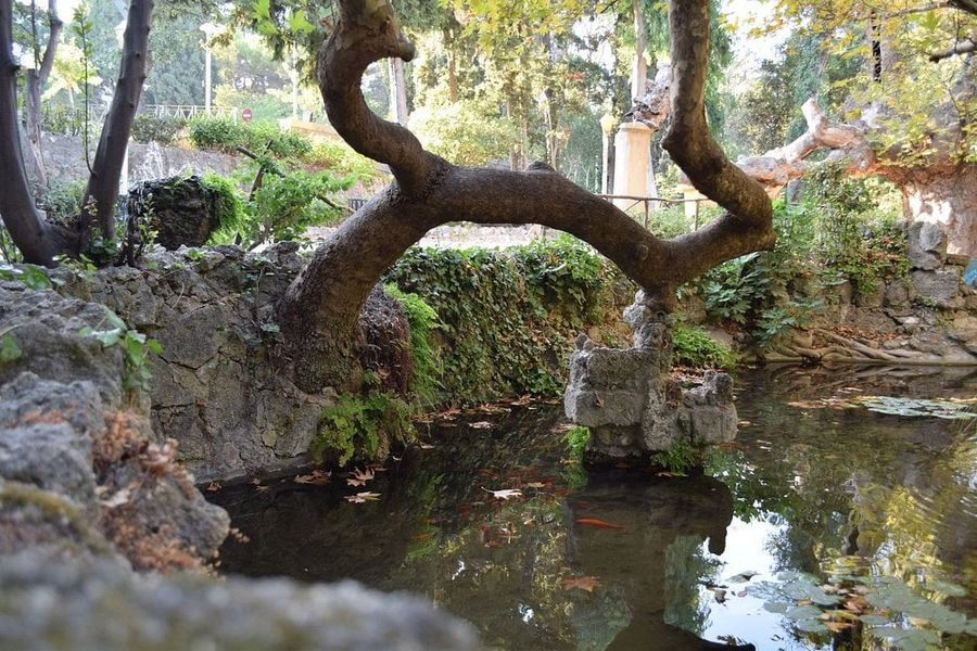 Ρόδος: Είδος ξενικού υδρόβιου σαλιγκαριού εντοπίστηκε στο πάρκο Ροδίνι