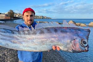 Σπάνιο ψάρι που «μοιάζει σαν να βγήκε από τη μυθολογία» ξεβράστηκε στις ακτές της Σικελίας