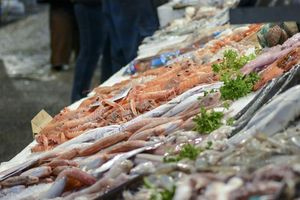 Αυξήσεις στα θαλασσινά ενόψει Σαρακοστής: Χταπόδι, καλαμάρια και θράψαλα «σκαρφάλωσαν» έως 15% σε δύο εβδομάδες