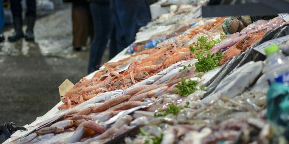 Αυξήσεις στα θαλασσινά ενόψει Σαρακοστής: Χταπόδι, καλαμάρια και θράψαλα «σκαρφάλωσαν» έως 15% σε δύο εβδομάδες