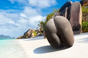 Ζυγίζει έως και 30 κιλά, έχει διάμετρο 50 εκατοστά και είναι ο μεγαλύτερος σπόρος στον πλανήτη