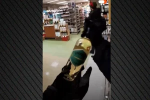 Καναδάς: «Ρομπέν των Δασών» έκλεψαν σούπερ μάρκετ και μοίρασαν τα τρόφιμα, σε ένδειξη διαμαρτυρίας για τον πληθωρισμό