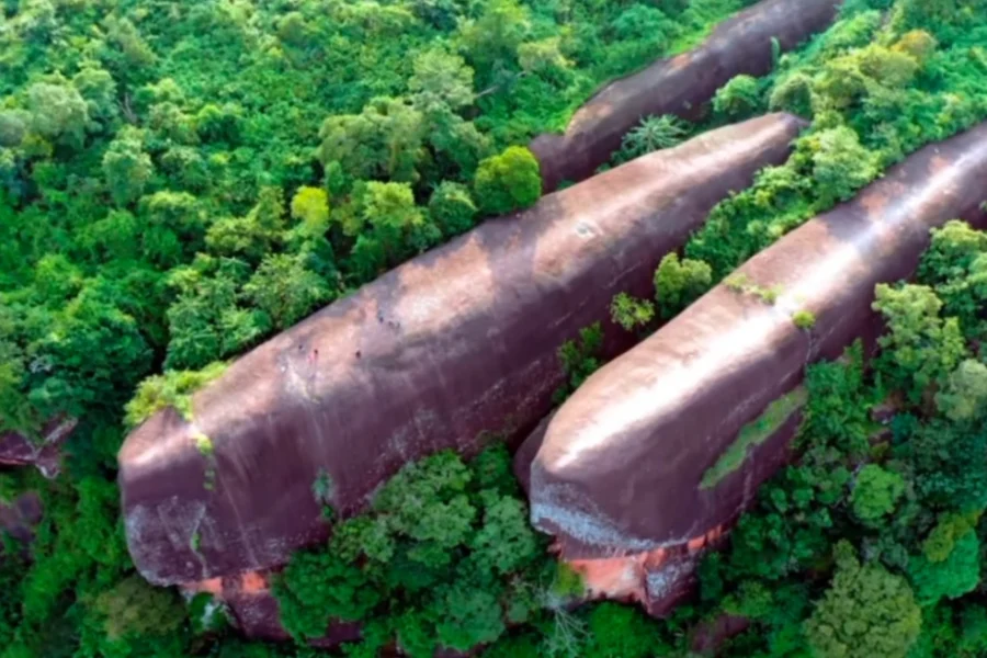 Πώς σχηματίστηκαν οι τρεις εντυπωσιακές «φάλαινες» της Ταϊλάνδης που μοιάζουν να… κολυμπούν μέσα στο δάσος