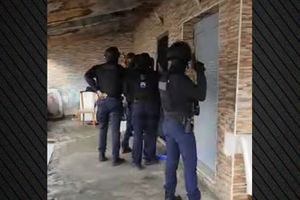 Η στιγμή που πάνοπλοι αστυνομικοί μπαίνουν σε σπίτια σε Φυλή και Αχαρνές και ξηλώνουν καλώδια 520 μέτρων που χρησιμοποιούνταν για ρευματοκλοπές