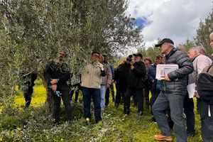Ολοκληρώθηκαν με επιτυχία οι εκπαιδευτικές δράσεις για την ποιότητα του Εξαιρετικού Παρθένου Ελαιολάδου «Κρήτη»