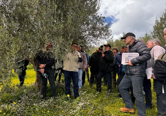 Ολοκληρώθηκαν με επιτυχία οι εκπαιδευτικές δράσεις για την ποιότητα του Εξαιρετικού Παρθένου Ελαιολάδου «Κρήτη»