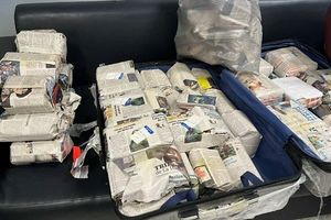 Κατασχέθηκαν 43 κιλά λαθραίων πούρων Αβάνας αξίας 440.000 ευρώ από την ΑΑΔΕ