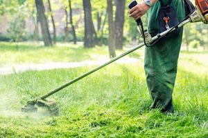 Δήμος Βιάννου: Υποχρεωτικός ο καθαρισμός οικοπέδων και η υποβολή δήλωσης στην Πλατφόρμα