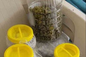 Συνελήφθη 33χρονος με 1 κιλό κάνναβης και μικροποσότητα ηρωίνης