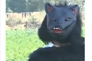 Αγρότες στην Ινδία μεταμφιέζονται σε αρκούδες για να σώσουν τις καλλιέργειες τους από αγέλες πιθήκων